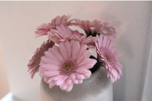 ヒーリングについて